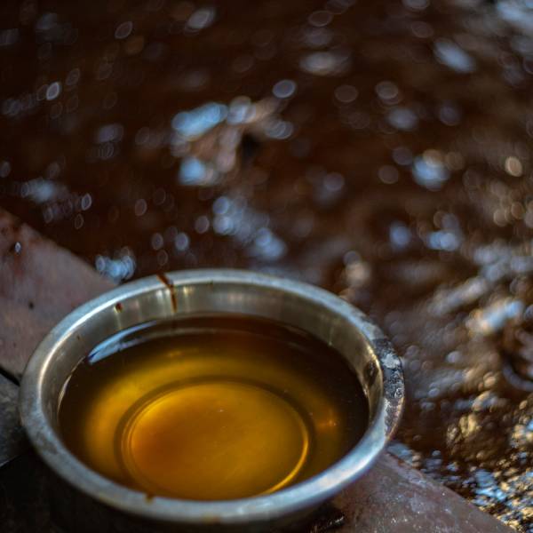 Maghe Sankranti